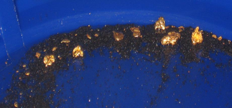 RESERVE PAYDIRT™ - 1 GRAM OF GOLD PANNING CONCENTRATES - ARIZONA