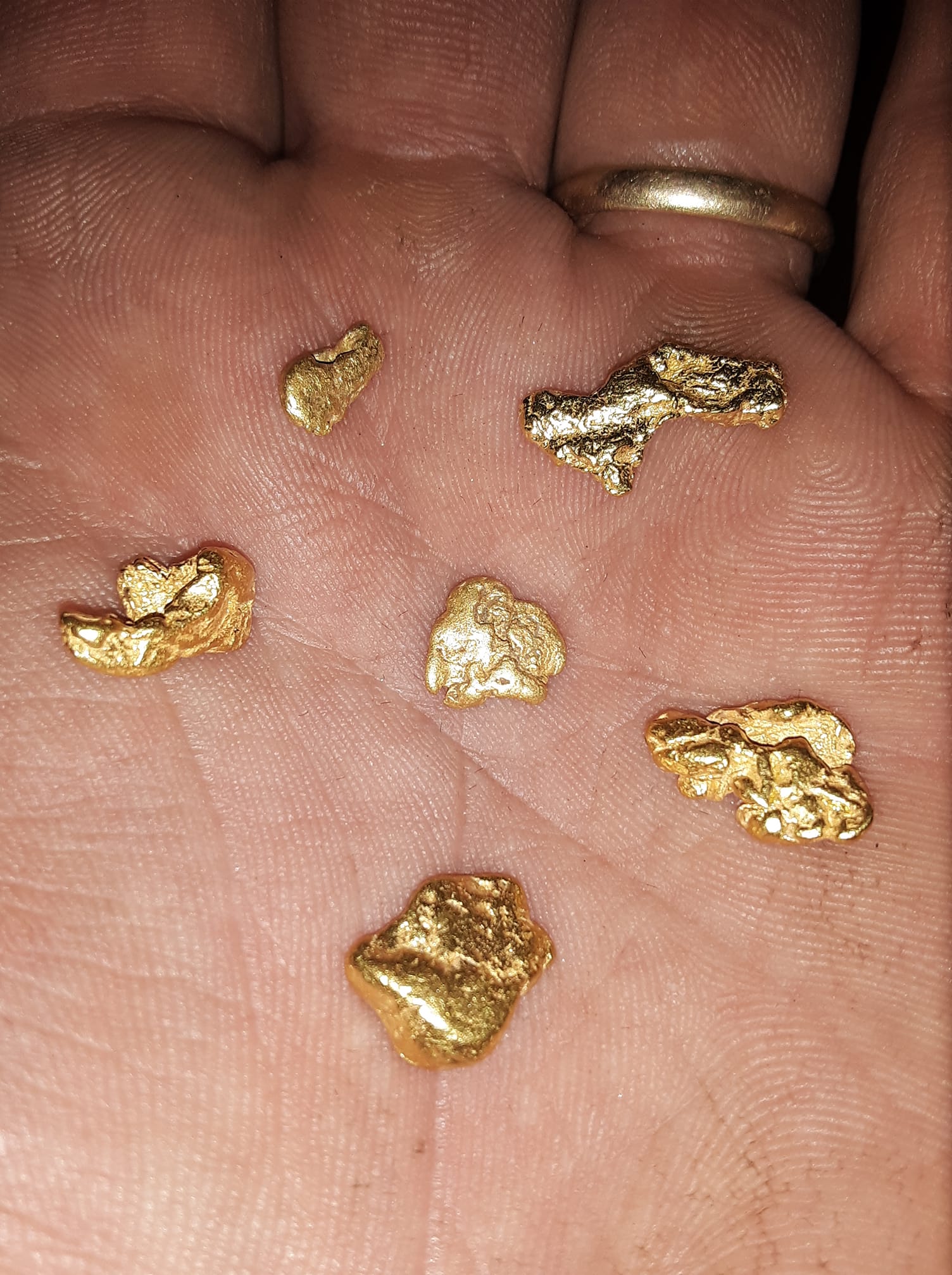 Gold Nugget Paydirt 1/2 Gram Slam - Pay Streak Prospecting