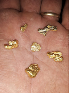 Gram Slam Gold Nugget Paydirt - Pay Streak Prospecting