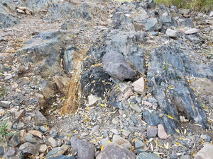 Gold Nugget Paydirt 1/2 Gram Slam - Pay Streak Prospecting