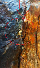 Load image into Gallery viewer, Gold Nugget Paydirt 1/2 Gram Slam - Pay Streak Prospecting