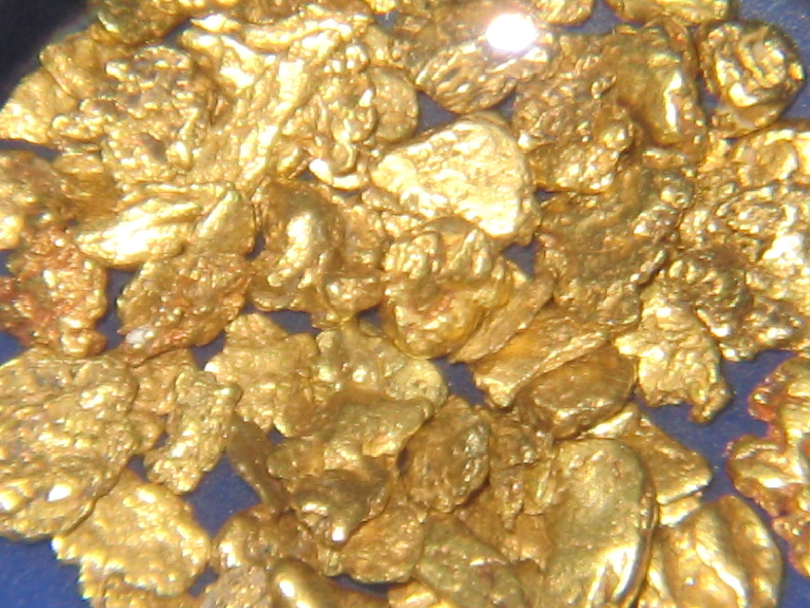 2 Lb. Rich Gold Paydirt Concentrates Unsearched Pay Streak Prospecting