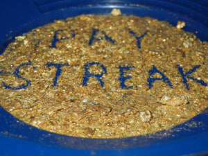 20 Lb. Rich Gold Paydirt Concentrates Unsearched Pay Streak Prospecting