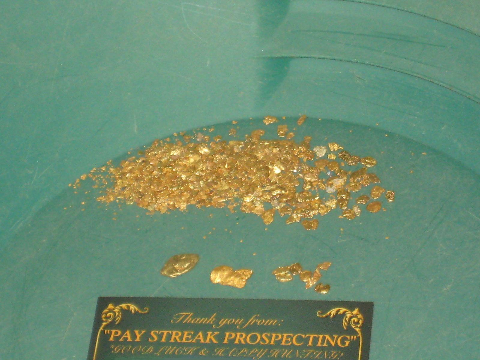 3 Lb. Rich Gold Paydirt Concentrates Unsearched – Pay Streak Prospecting