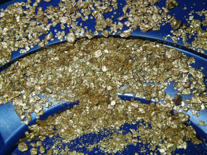 20 Lb. Rich Gold Paydirt Concentrates Unsearched Pay Streak Prospecting