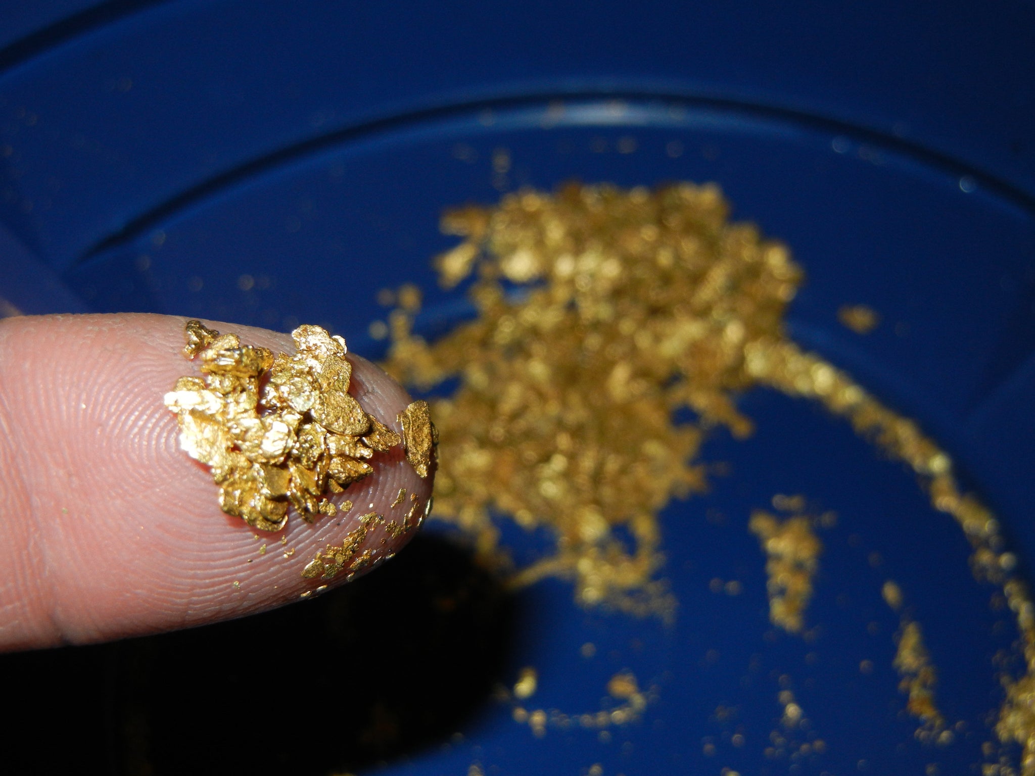 3 Lb. Rich Gold Paydirt Concentrates Unsearched – Pay Streak