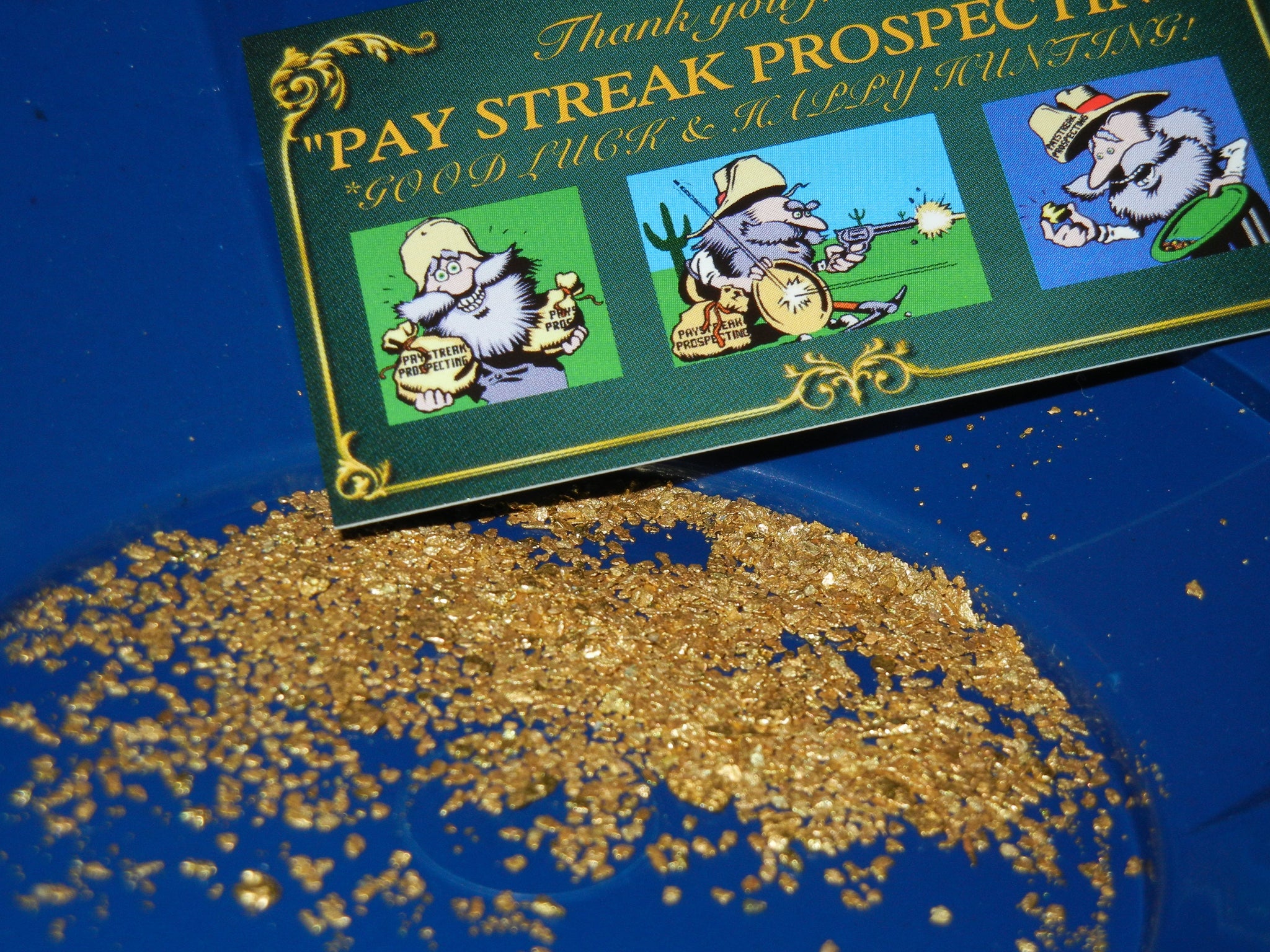 3 Lb. Rich Gold Paydirt Concentrates Unsearched – Pay Streak Prospecting