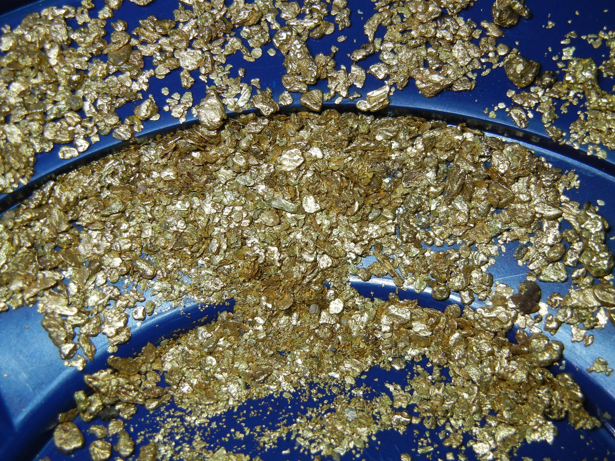 3 POUNDS Rich Unsearched Gold Paydirt - gold panning concentrates ADDED  GOLD!