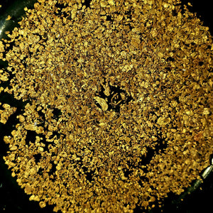 5 Lb. Rich Gold Paydirt Concentrates Unsearched Pay Streak Prospecting