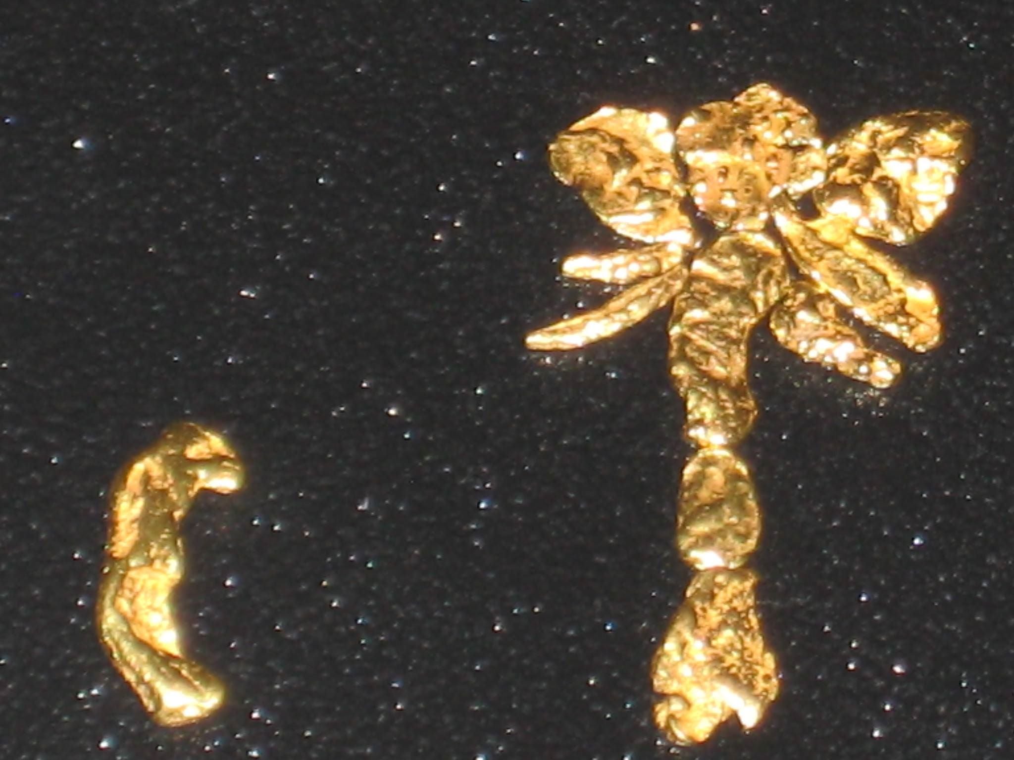 Gold Paydirt — Idaho Gold Hunters